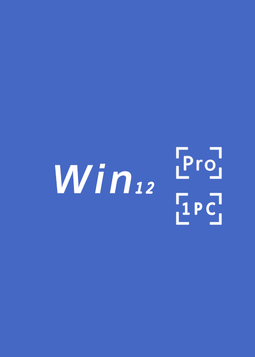 MS WIN 12 Pro OEM CD-KEY GLOBAL