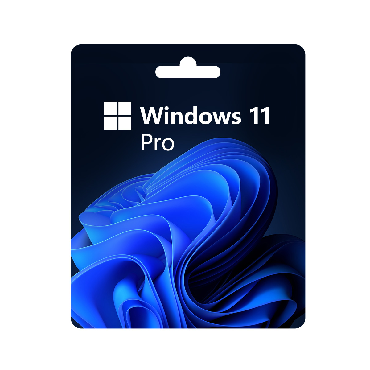 MS Win 11 Pro OEM KEY GLOBAL