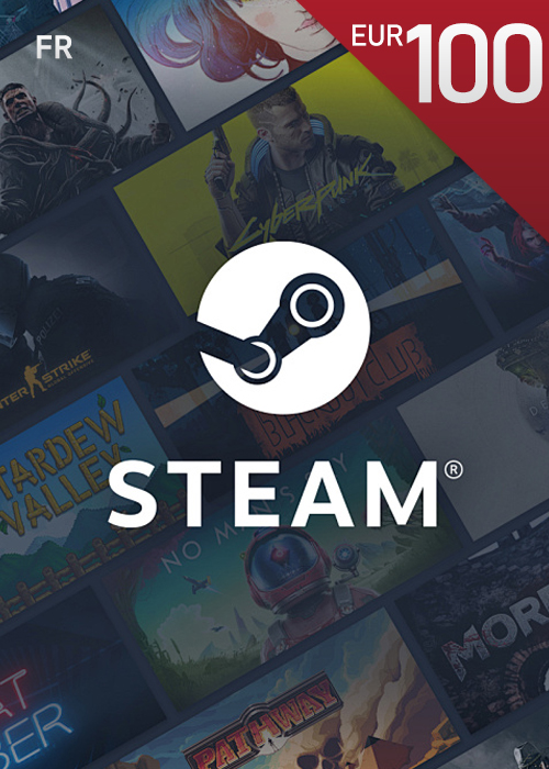 Steam Gift 100 EUR CD KEY FR
